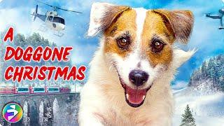 A DOGGONE CHRISTMAS | Full Family Adventure Dog Movie | Ft. “Just Jesse the Jack”