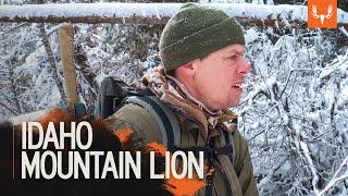 Idaho Mountain Lion | MeatEater Season 7