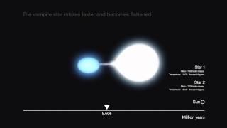 Vampire Stars: Evolution and Destruction of Hot, High Mass Binary Systems | ESA ESO Hubble HD Video
