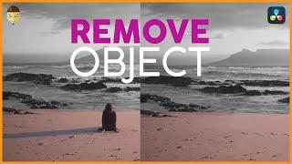 Remove Objects Quickly and Easily DaVinci Resolve