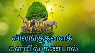 விலங்குகளைக் கனவில் கண்டால்|vilangugalai kanavil kandal|Animals in dream|see description below