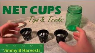 Net Cup Placement for Hydroponics and DWC- Where to Set Water Level - Net Pot Placement