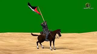 Palestine Flag 4 Green Screen HD