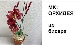 ОРХИДЕЯ ЦИМБИДИУМ из бисера. Tutorial: BEADED ORCHID | PATTERN