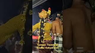 ngakak..... ditunggu full di tradisi rakyat bali