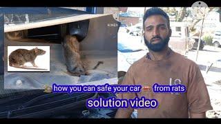 solution for car safety from rats attack||car rat protection  