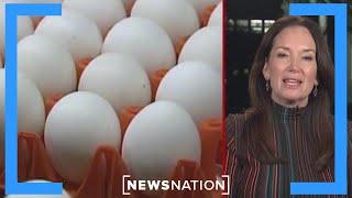 How egg prices will slump: Agriculture Sec. Brooke Rollins | CUOMO