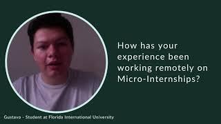 Gustavo Z. - How has your experience been working remotely on Micro-Internships?