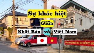 359 | Sự Khác Biệt Giữa Nông Thôn Nhật Bản Và Nông Thôn Việt Nam | Đức Thư Vlogs
