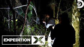 Signs of the Skunk Ape in the Everglades | Expedition X | Discovery