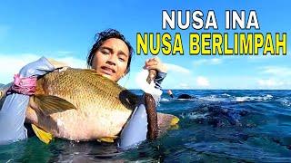 [FULL] NUSA INA NUSA BERLIMPAH | JEJAK PETUALANG (26/11/24)