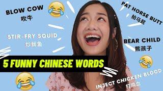 5 Funny Chinese Words You Want To Know