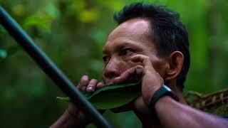 A Hunter From The Penan Tribe In Borneo Jungle