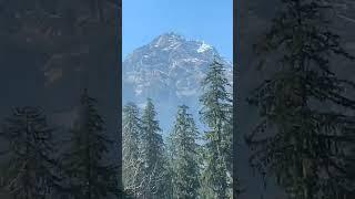 manali #viral video