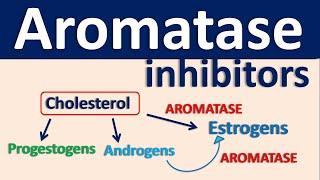 Aromatase inhibitors