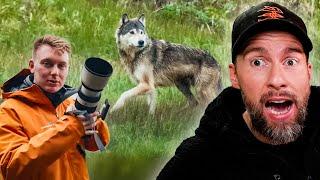 NICHT DEIN ERNST TOMATOLIX! Er fotografiert den Küstenwolf am 2 Tag?! | Robert Marc Lehmann reagiert