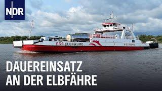 Elbfähre: Stress zwischen Schlick und Stau | Die Nordreportage | NDR Doku