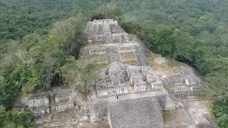 Calakmul Mayan Ruins Explora Mexico Riviera Maya con Vikingo