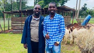 I Partnered with SINZA FARM  to import BOER GOATS from South Africa  to Kenya 