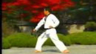 6. Taekwondo Poomsae Taegeuk Yook Jang (WTF)