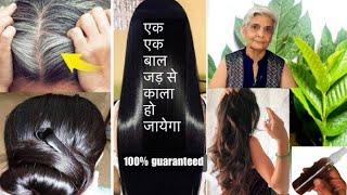 एक एक बाल जड़ से काला हो जायेगा 100% guaranteed with this homemade natural hair colour