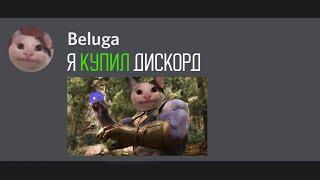 Белуга купил Дискорд...[ru voiced]