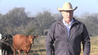 Ron Gill - Farm & Ranch Stories - Beef's Story - Beef Cattle Raised in Texas