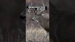 Your buck in 2025 if you #deer