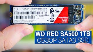 Обзор WD Red SA500 1TB. Профессиональный SATA3 SSD / Root Nation
