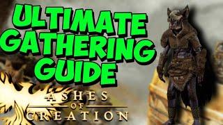 Ultimate Guide to Gathering in Ashes of Creation Alpha 2