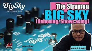 MY STRYMON BIG SKY GUITAR PEDAL  (SHOWCASING/UNBOXING) #STRYMON #BIGSKY