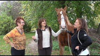 The Psychic Jackies Visits 'straight from the horses mouth' Episode 1