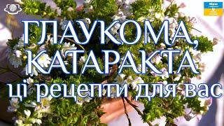 Доступні ліки під ногами від ГЛАУКОМИ, КАТАРАКТИ, ПОДАГРИ та шкірних захворювань