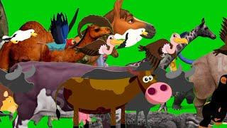 cartoon and animal stampede green screen remake | green screen animal video ‼️