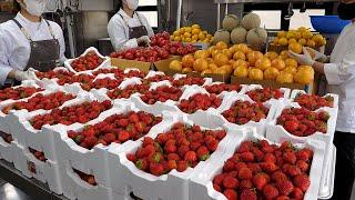 fresh fruit juice and ade (strawberry, lemon, grapefruit) - korean street food