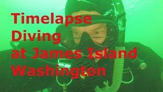 Underwater Time Lapse and Macro at James Island Washington