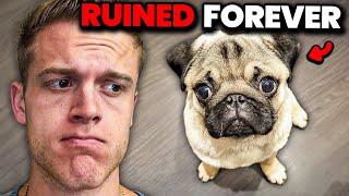 How We Ruined Dog Breeds (RANT 2)