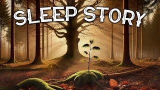 The Seasons of the Forest: A Calming Sleep Story