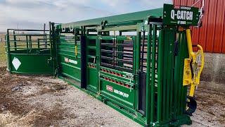 Farmer Review: Arrowquip Q-Catch 87 Series Portable Cattle Chute, Alley and Tub