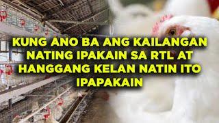 ANO NGA BA ANG DAPAT IPAKAIN AT KUNG HANGGANG KAILAN PAKAKAININ ANG ATING MGA RTL