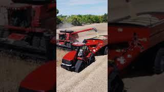 2x Case IH 9120 Combine #short #viral #grow #caseih #tractor #combine