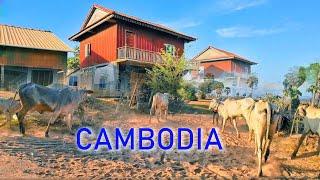 Cambodia toàn cảnh nông thôn từ vùng trũng đến cao nguyên