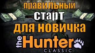 Правильный старт для новичка в The Hunter Classic