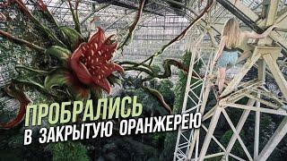 ПРОБРАЛИСЬ в закрытую оранжерею | Самая большая ЗАКОНСЕРВИРОВАННАЯ оранжерея в мире