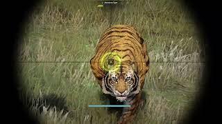 BDO - LoML Atrocious Tiger/Boar sniper Hunting