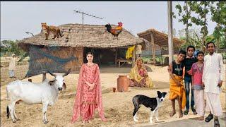 Natural Village Life In India Uttar Pradesh | Most Beautiful Village In India | Village Lifestyle