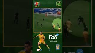 GoldCleats Player App - Verified Baller Series: David Ayala