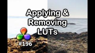 DaVinci Resolve Tutorial: How to Apply & Remove LUTS