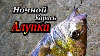 Рыбалка в Ялте. Ночные Крупные Караси в Алупке. Летний Крым  Сегодня.