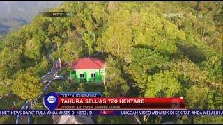 Keindahan Tahura Sinjai Seluas 720 Hektar - NET 10